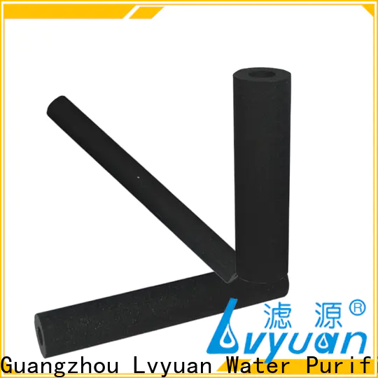 Lvyuan Customized sintered plastic filter replace for water Purifier