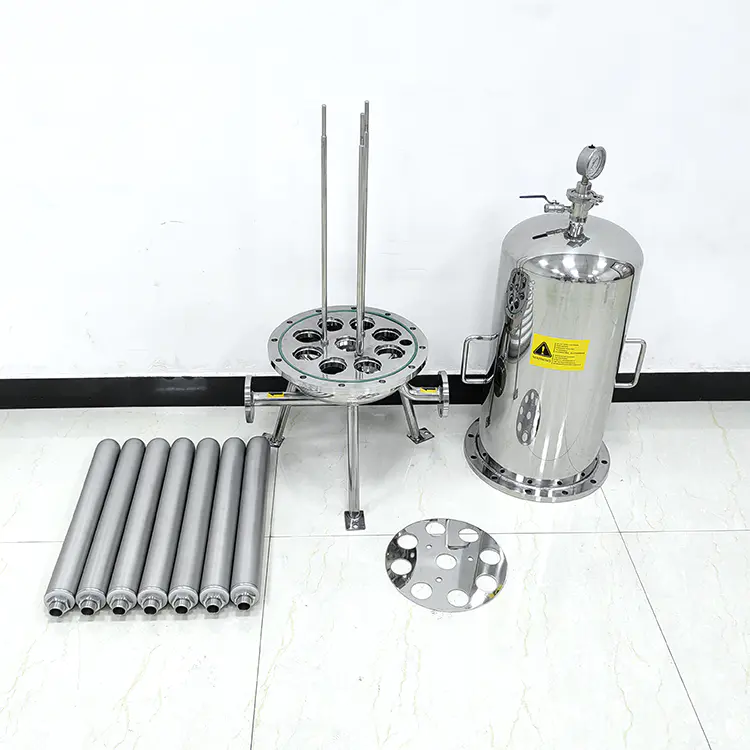 High-Performance Sanitary Filter Housings in Stainless Steel