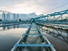 block sintered carbon water filter supplier for sea water desalination