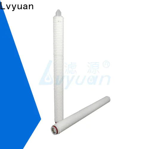 Lvyuan pleated filter manufacturers with stainless steel for liquids sterile filtration