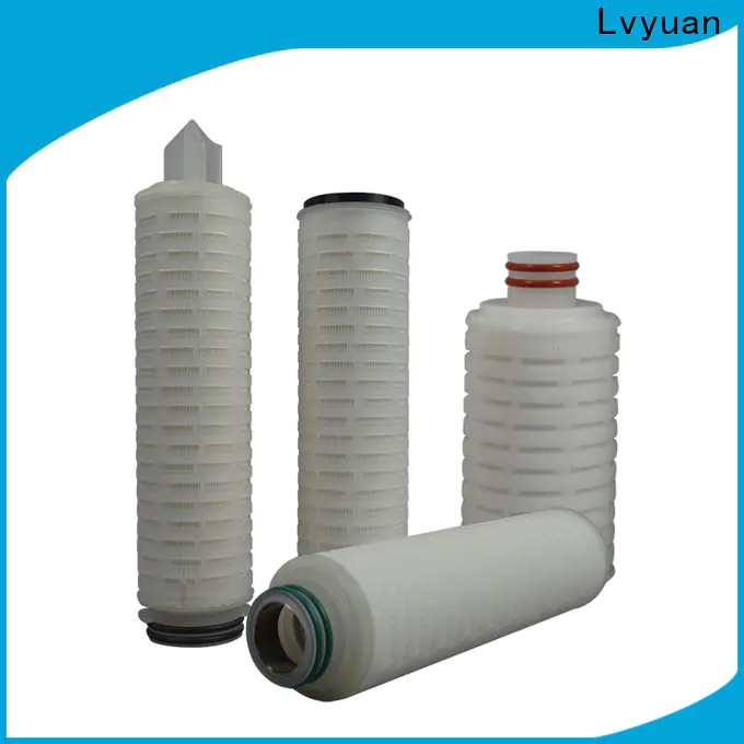 Lvyuan water pleated filter with stainless steel for food and beverage