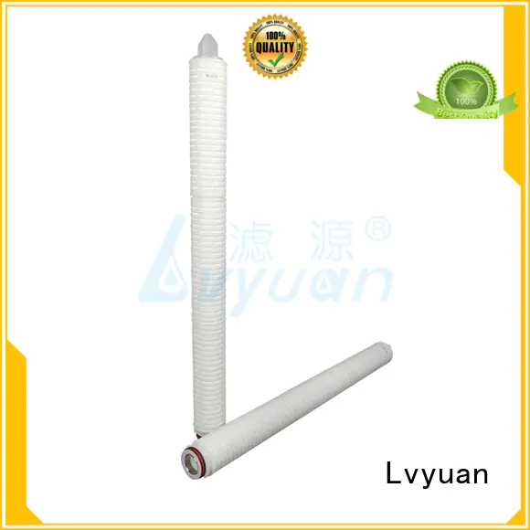 pleated filter element manufacturer for food and beverage Lvyuan