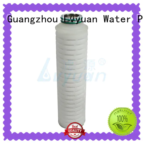 Lvyuan membrane pleated polyester filter cartridge for liquids sterile filtration